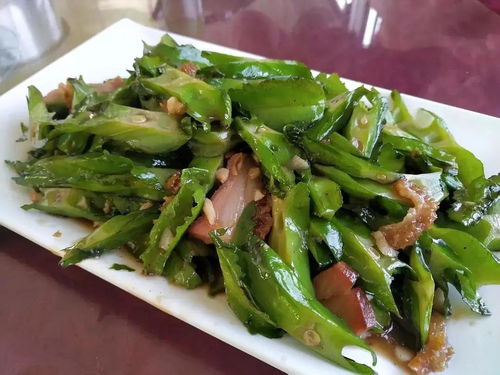 云勇之眼 茄子云下的自然诗篇